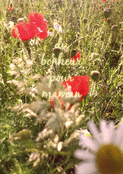 Fleurs enchant&eacute;es pour ma maman ch&eacute;rie